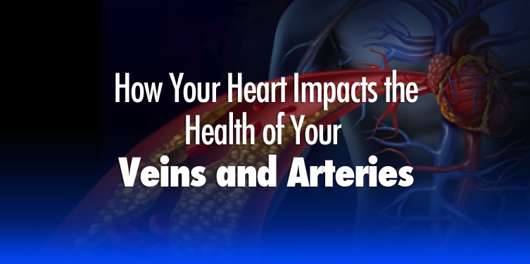 How-Your-Heart-Impacts-the-Health-of-Your-Veins-and-Arteries-MD-DC-PA